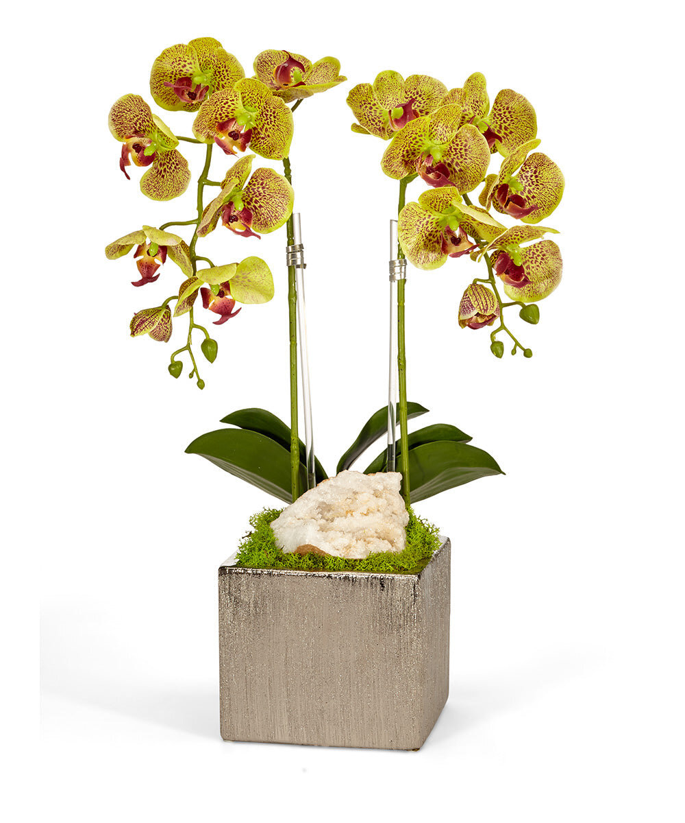 T C Floral Company Orchid Floral Arrangement In Planter With Quartz